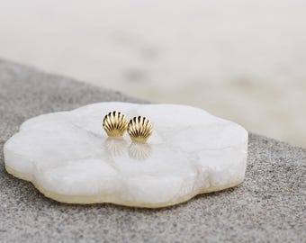 Gold Shell Stud Earrings