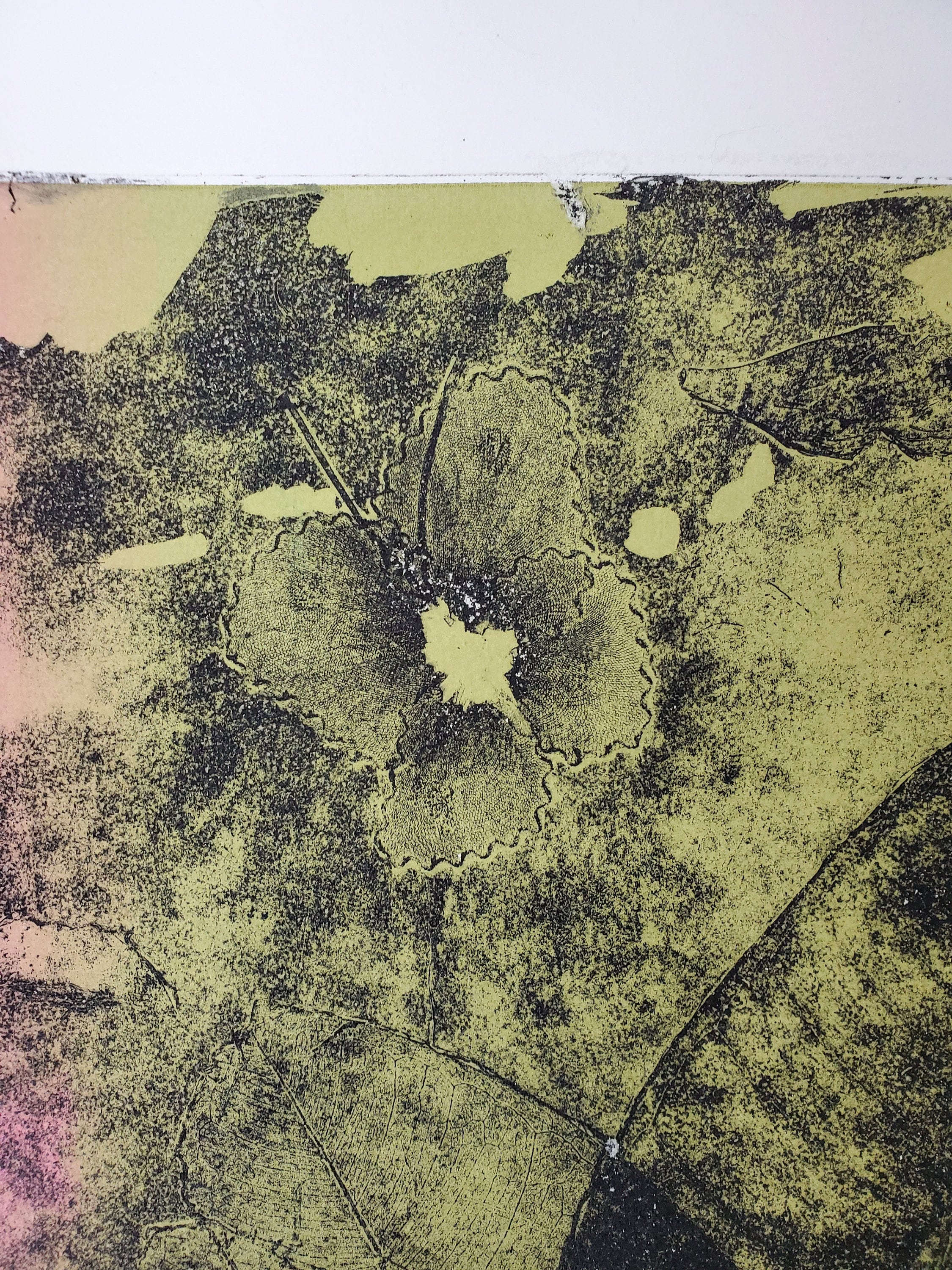 Screen Intaglio Vintage 1970s Original Intaglio Silk Screen - AB Fox - Plants and ...