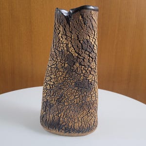 May include: A tall, textured ceramic vase with a dark brown, cracked surface. The vase has a unique, organic shape and a dark rim. The color palette is earthy, with shades of brown and tan. The vase is displayed on a white surface.