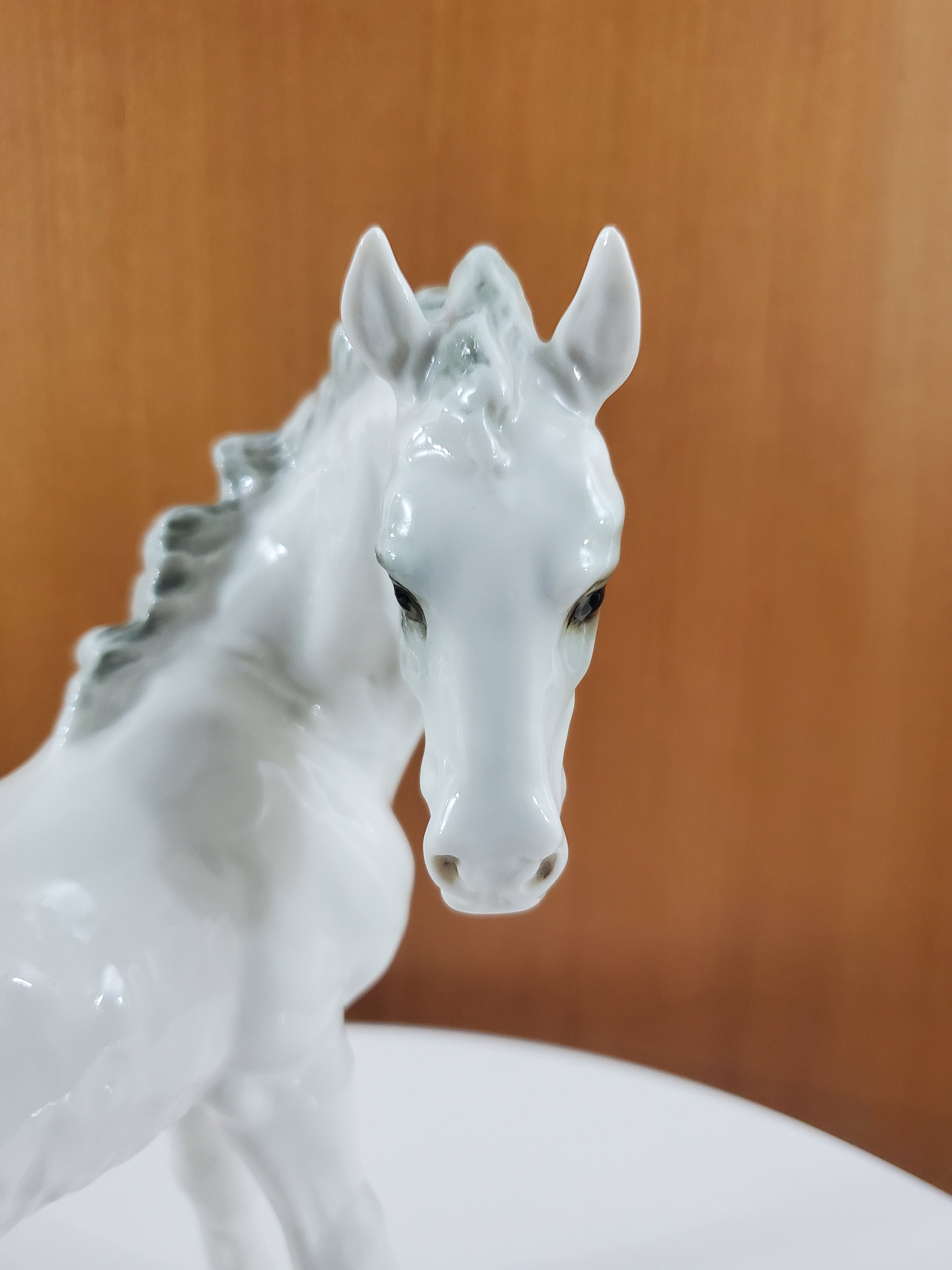 Hutschenreuther Porcelain Foal - JHR Germany - Porcelain Horse