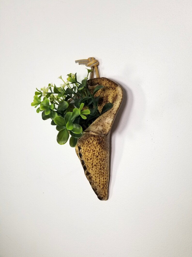 Wall Planter Indoor Planter Speckled Stoneware Ceramic Wall Pocket Brutalist 1970s Ceramics