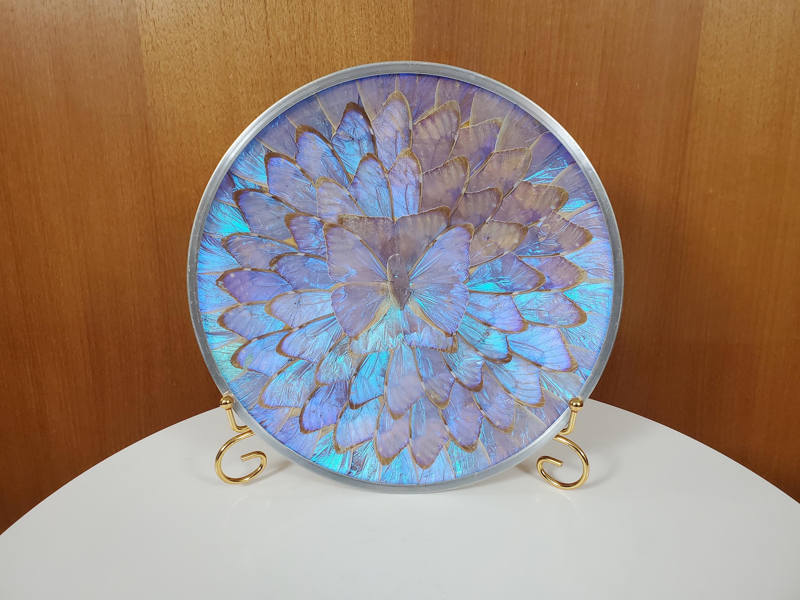 Vintage Blue Morpho Butterfly Wing Plate Aluminum Back Wall Plate