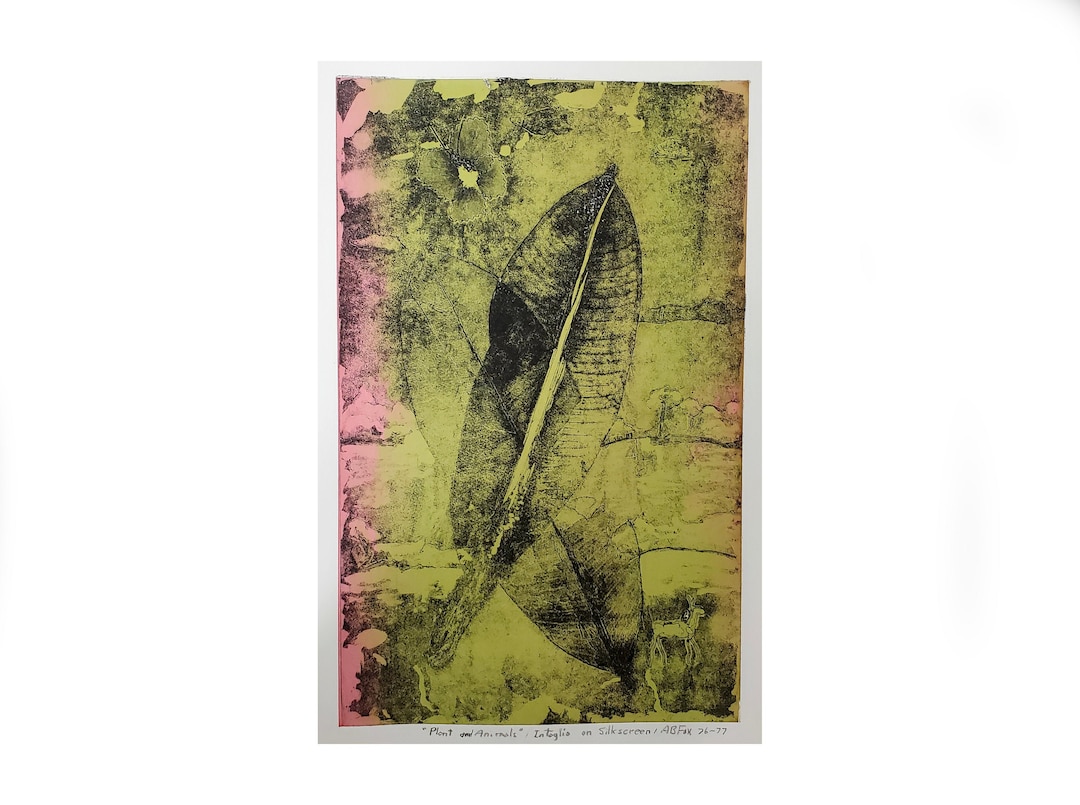 Screen Intaglio Vintage 1970s Original Intaglio Silk Screen - AB Fox - Plants and ...