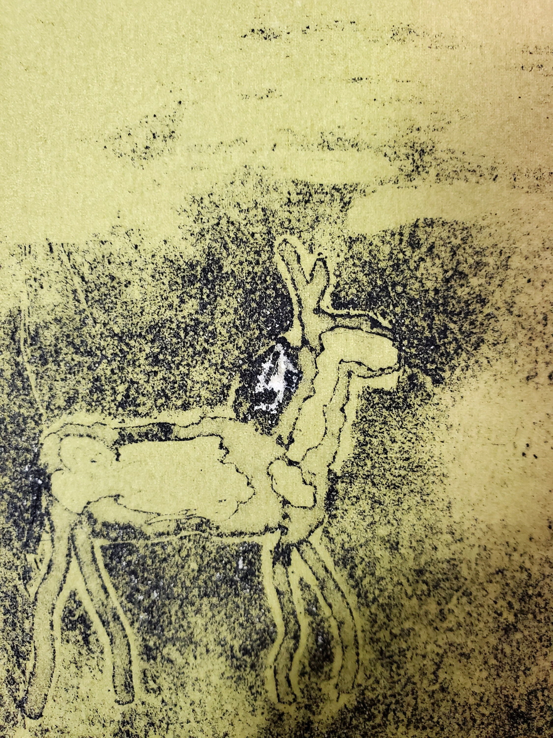 Screen Intaglio Vintage 1970s Original Intaglio Silk Screen - AB Fox - Plants and ...