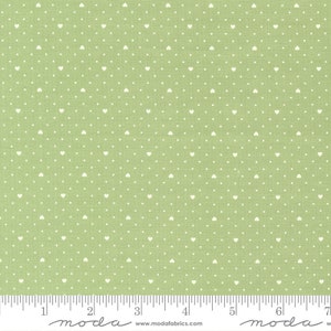 Moda &quot;Lighthearted &quot; fabric by Designed by Camille Roskelly sold by the 1/2 yard 55298 19