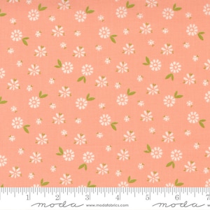 Moda &quot;Seashore Drive &quot; fabric by Sherri and Chelsi sold by the 1/2 yard  37622 13