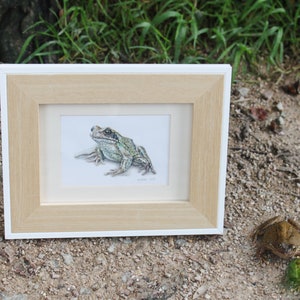 Cornish Frog Painting image 6
