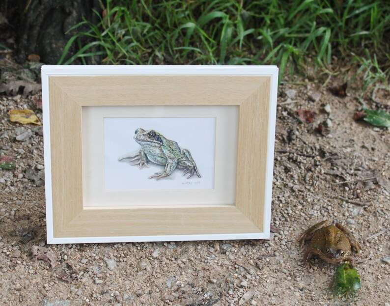 Cornish Frog Painting image 6