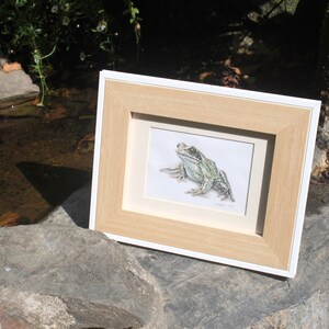 Cornish Frog Painting image 5