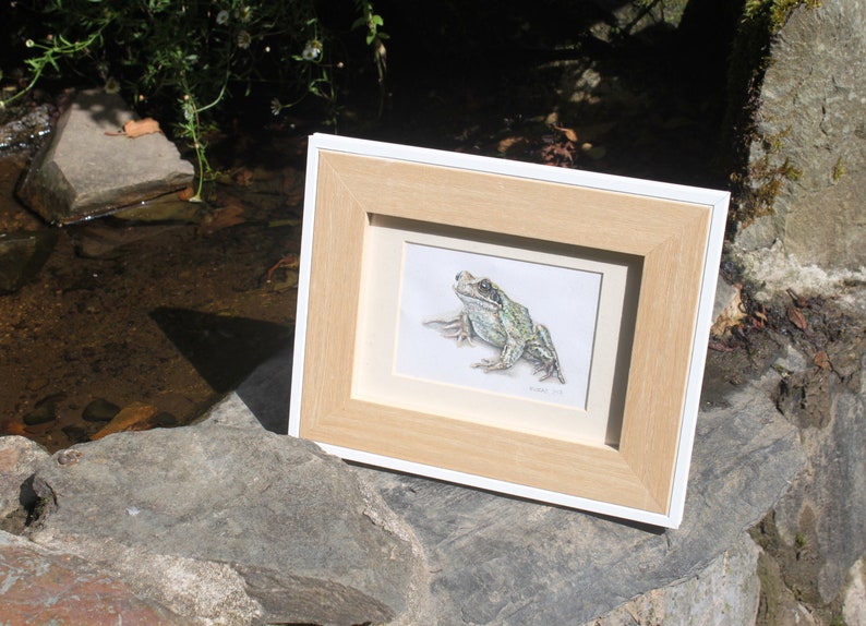 Cornish Frog Painting image 5