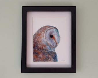 Barn Owl Portrait (Print)