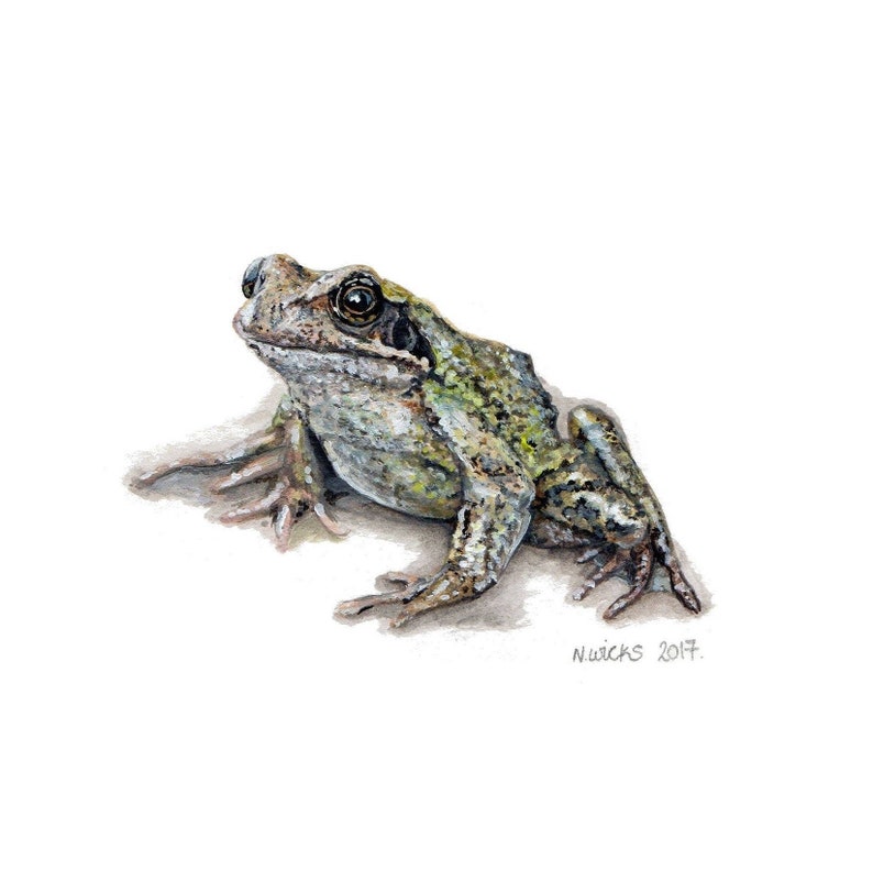 Cornish Frog Painting image 1