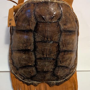 May include: A brown turtle shell purse with a leather fringe. The shell is a dark brown color with a textured pattern. A small tag with the number 8 is attached to the purse.