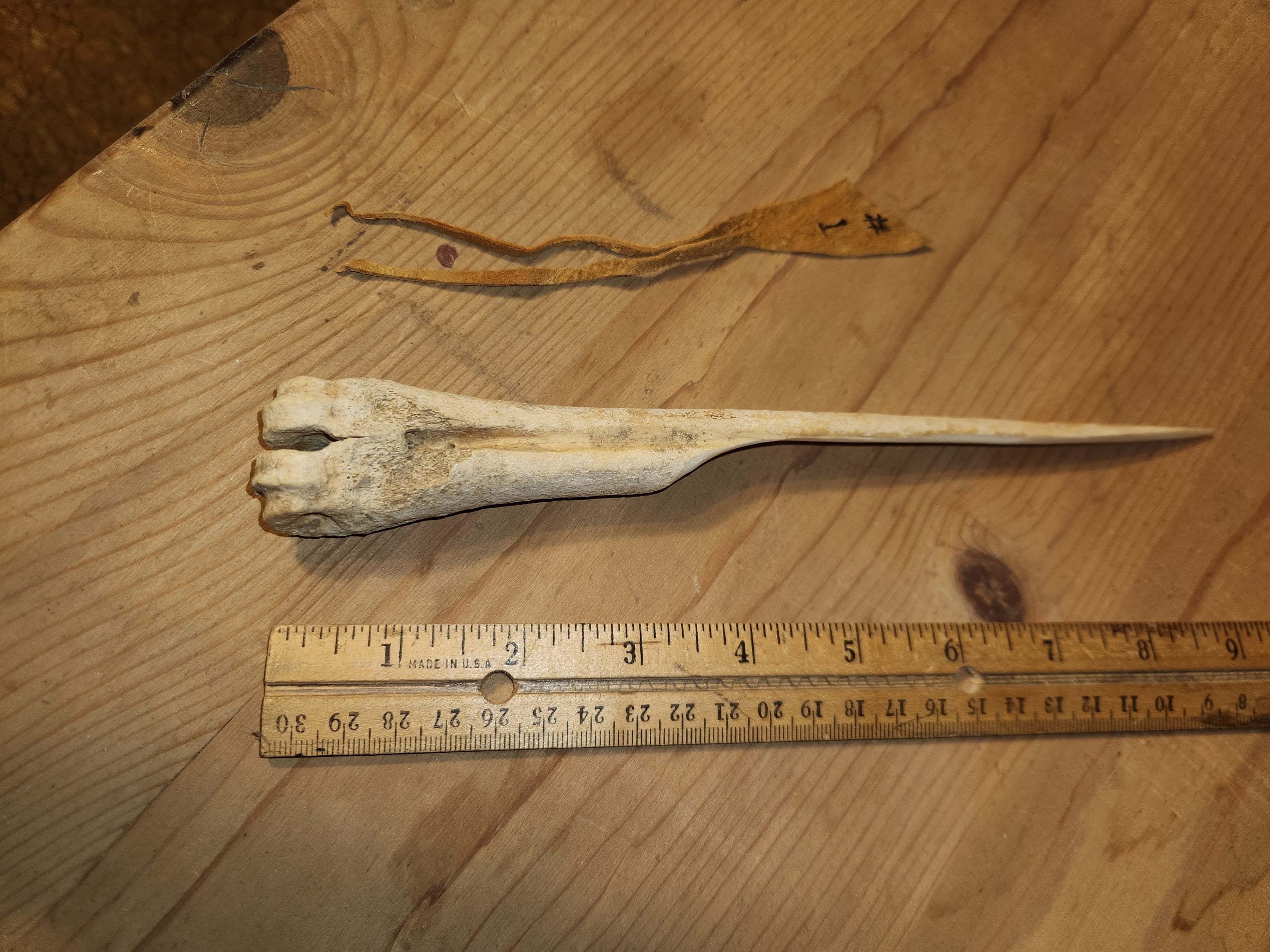 Deer Leg Bone Knife, #1