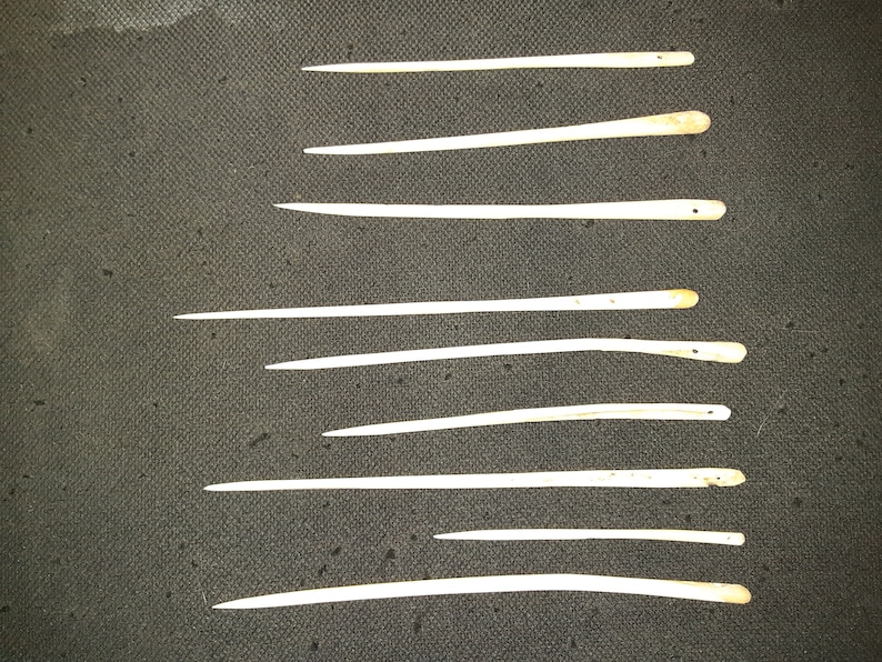 May include: A collection of ten bone needles, varying in length, with a pointed tip and a rounded end. The needles are arranged in a row on a dark gray textured surface.