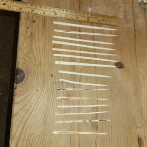 May include: A collection of 17 bone needles of varying lengths, laid out on a wooden surface. The needles are all white and have a smooth, polished finish.