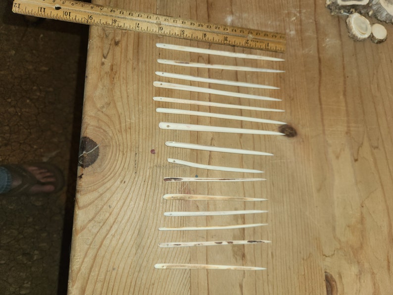 May include: A collection of 17 bone needles of varying lengths, laid out on a wooden surface. The needles are all white and have a smooth, polished finish.