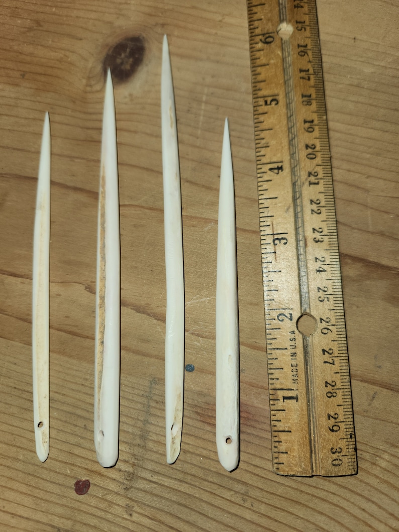 May include: Four white bone awls of varying lengths, measured against a wooden ruler marked in inches. The awls are sharpened at one end and have a small hole at the other end.
