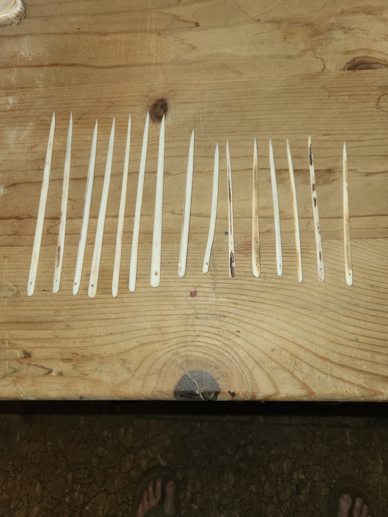 May include: A collection of 14 thin, white, bone needles laid out on a wooden surface.