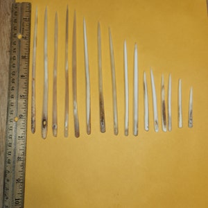 May include: A collection of 14 white bone needles of varying lengths, laid out on a yellow surface next to a ruler.