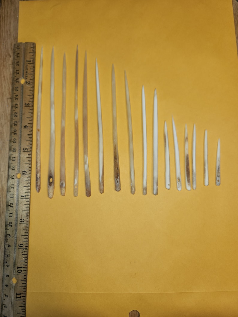 May include: A collection of 14 white bone needles of varying lengths, laid out on a yellow surface next to a ruler.