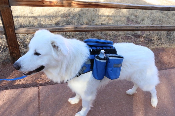 Dog vest with water bottle holder Clearance
