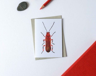 Little beetle greeting card, soldier beetle