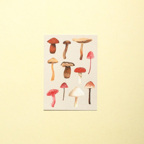 Mushrooms Illustrated postcard | Single postcard | Mini art print | Snail mail | Nature art | Woodland postcard | Funghi