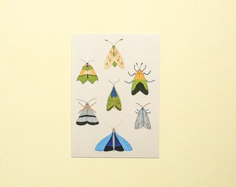 Seven Moths Illustrated postcard | Single postcard | Mini art print | Snail mail | Nature art | Insect postcard | Butterfly