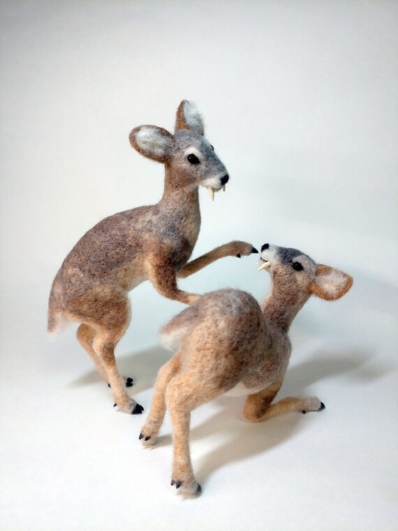 Koreanisches Wasserreh Gefilzt Hirsch Nadelfilz Korea Etsy