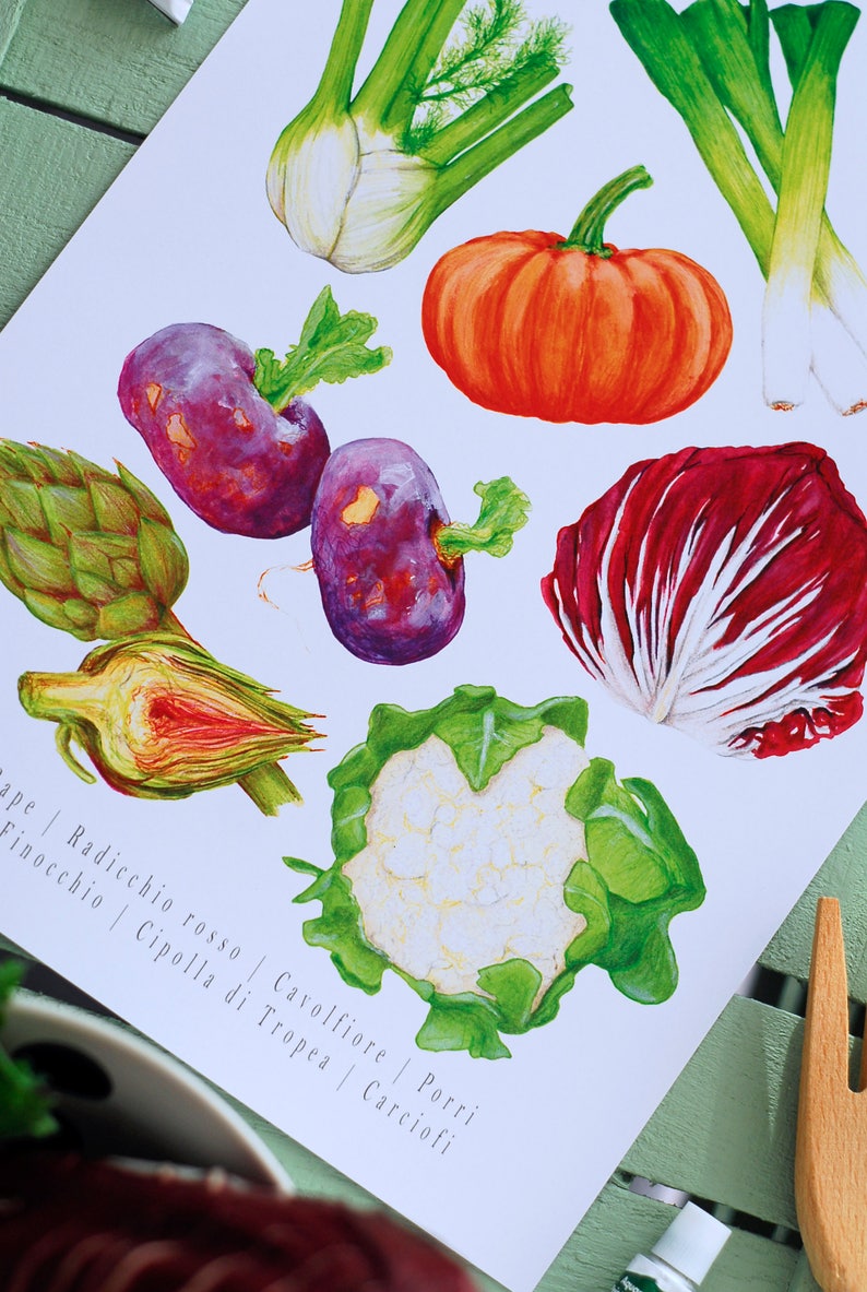 Vegetable Print Food Illustration Kitchen Art Print Etsy