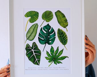 Tropical Leaves Art Print | Botanical Illustration print | Watercolor print | Tropical leaves | Nature Wall art | Botanical Watercolor Print