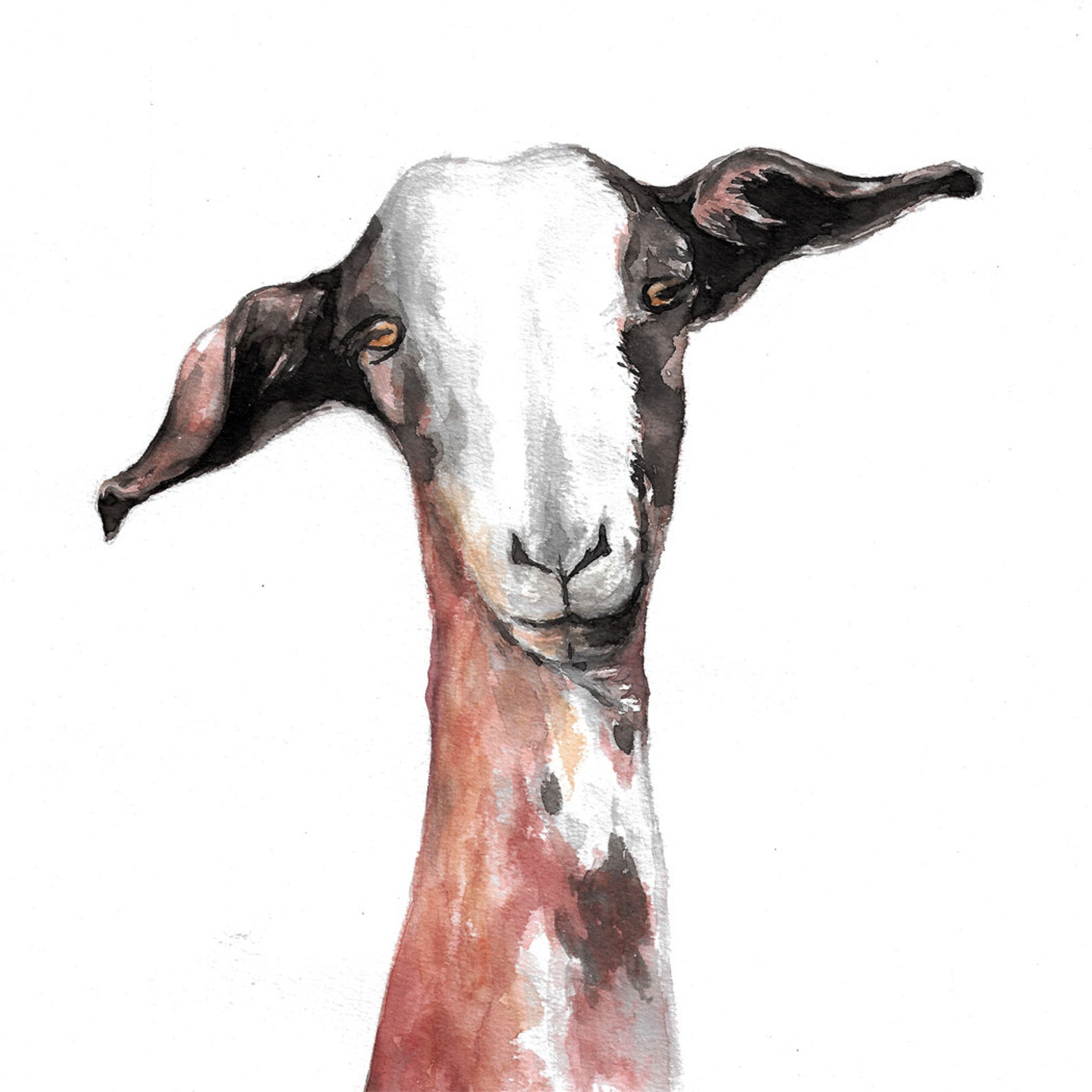 Watercolor Art Goat Portrait Painting Digital Download Etsy