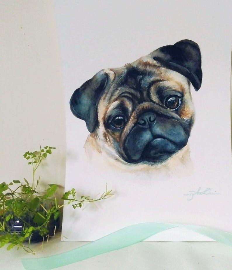 Custom Made Watercolor Pet Portrait Etsy
