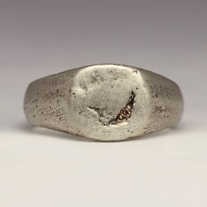 May include: A silver signet ring with a textured finish and a crescent moon design set with three small gold beads.