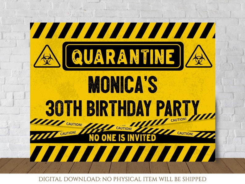 DIGITAL Birthday Party Backdrop Social Distancing Birthday Banner Quarantine Birthday Party Decoration Birthday Custom Photo Back drop