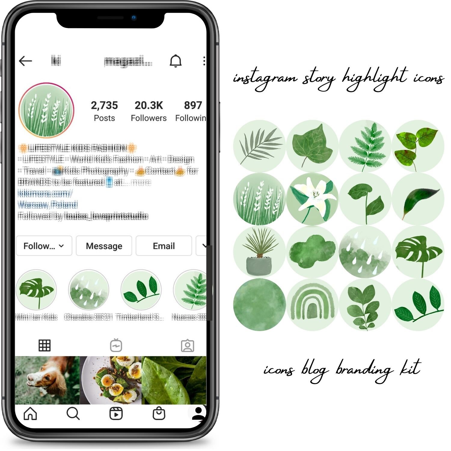 Plant Instagram Story Highlight covers icons green neutrals Etsy