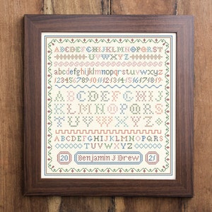 May include: Framed cross-stitch sampler with a dark wood frame. The sampler features the alphabet, numbers, and decorative borders in various colors. The text "Benjamin J Drew" is displayed in a banner at the bottom.