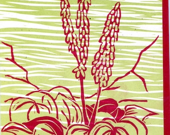 Mountain Sorrell Letterpress Greeting Card