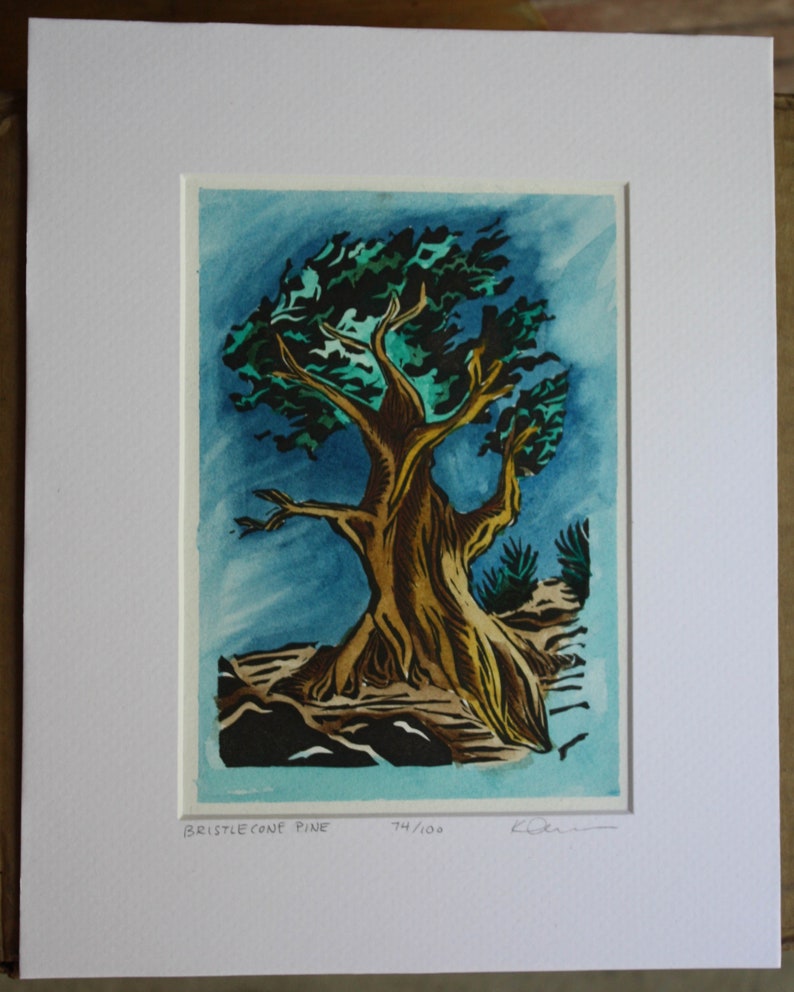Bristlecone Pine Handpainted Linocut Print Etsy