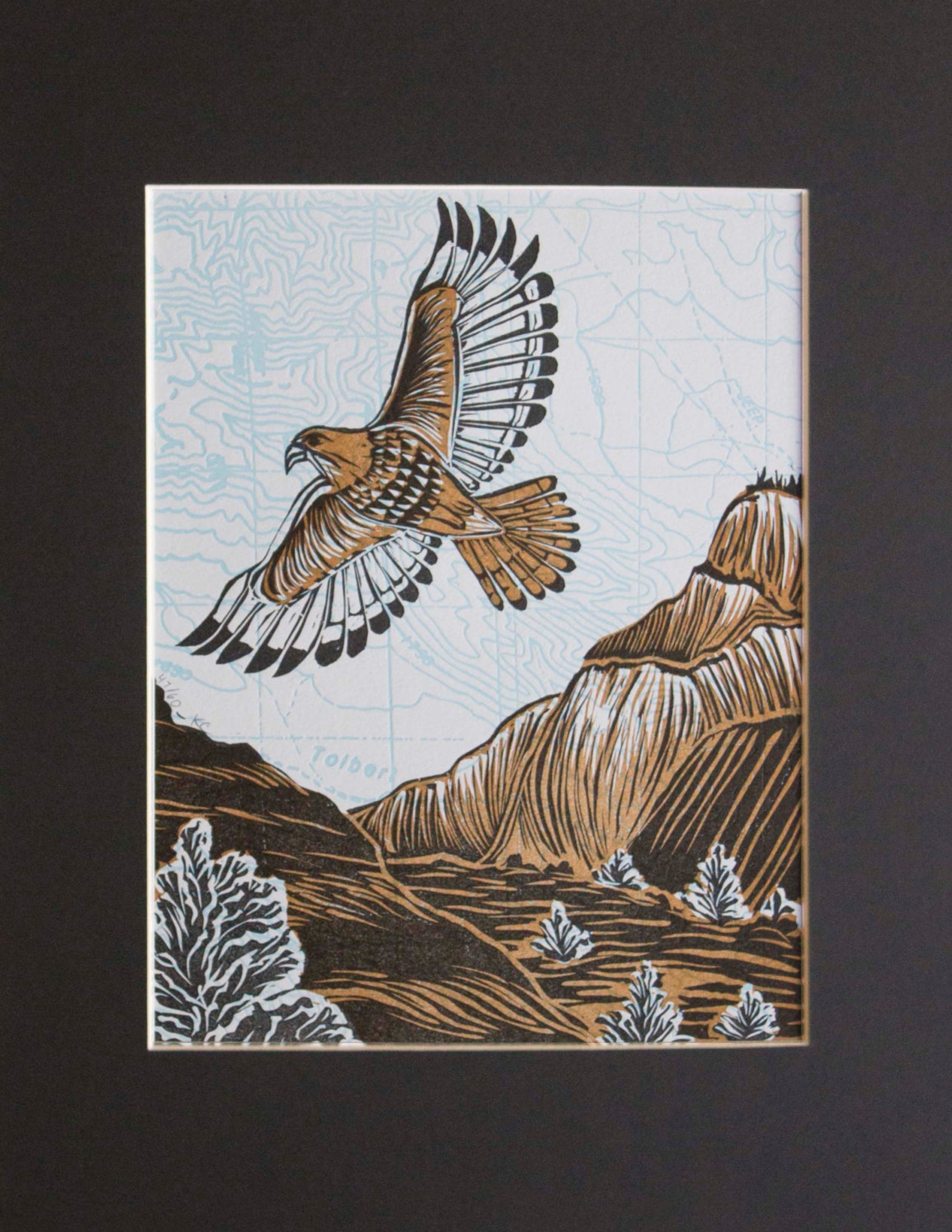Hawk Rip Print Red-tail Hawk Multi-color Linocut Print - Etsy
