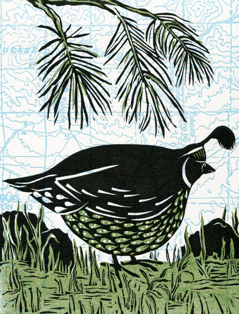 California Quail Multi-color Linocut Print - Etsy