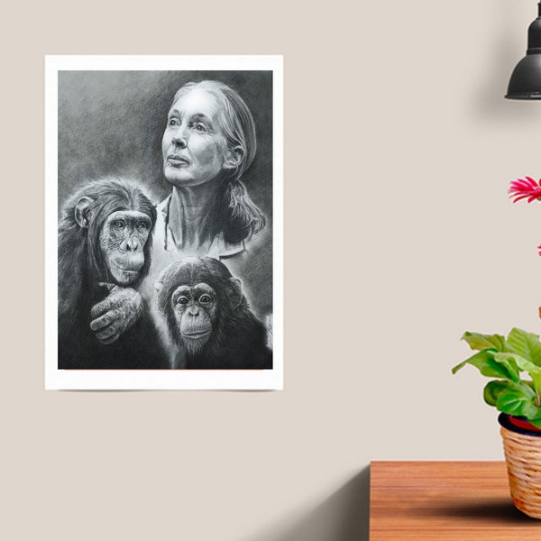 Jane Goodall, chimpanzee, conservation, wildlife, women scientists, science, environmental, animal, charcoal, original artwork