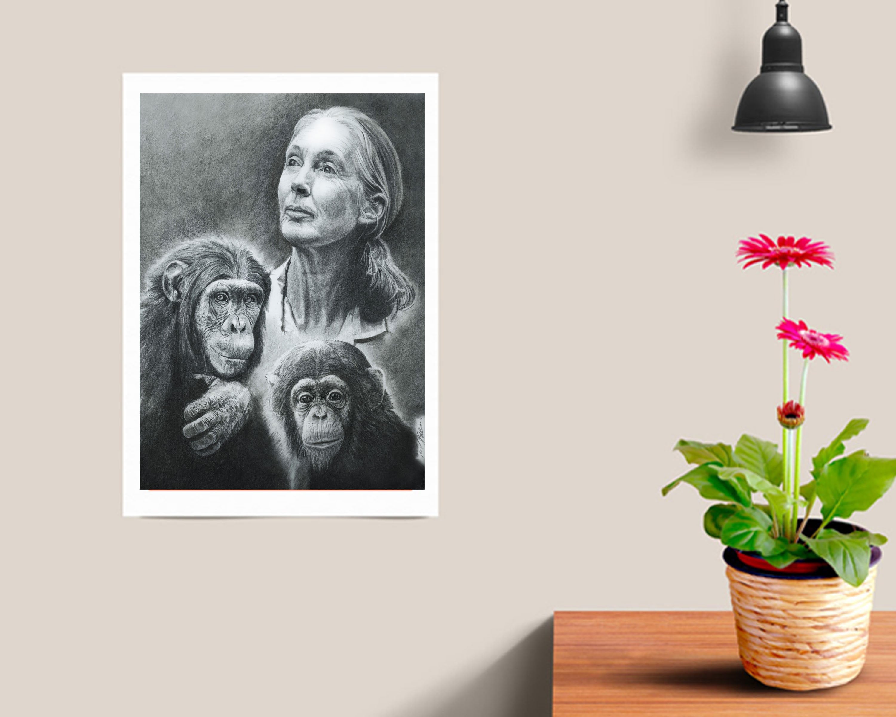 Jane Goodall, chimpanzee, conservation, wildlife, women scientists, science, environmental, animal, charcoal, original artwork