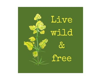 Live Wild & Free blank card by Millie Moth - quirky card featuring wildflowers and inspiring words