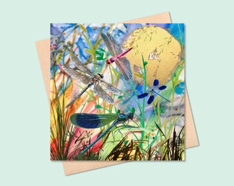 Dragonflies blank card, jewelled colours dragonflies over wild grasses and reeds