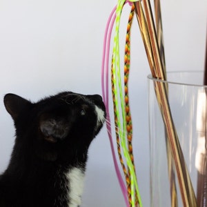 Fishing Pole Cat Toy 