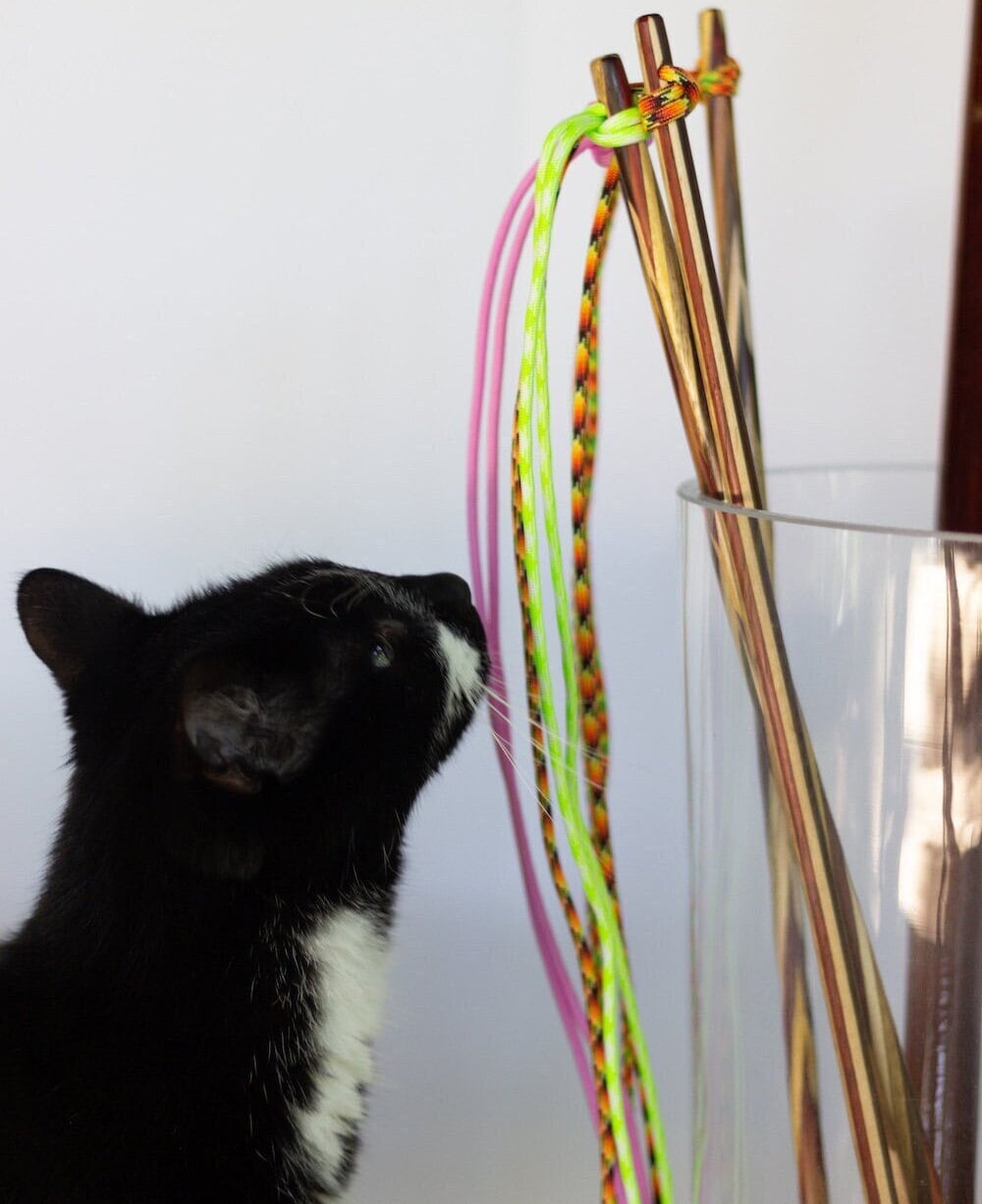 Fishing Pole Cat Toy 