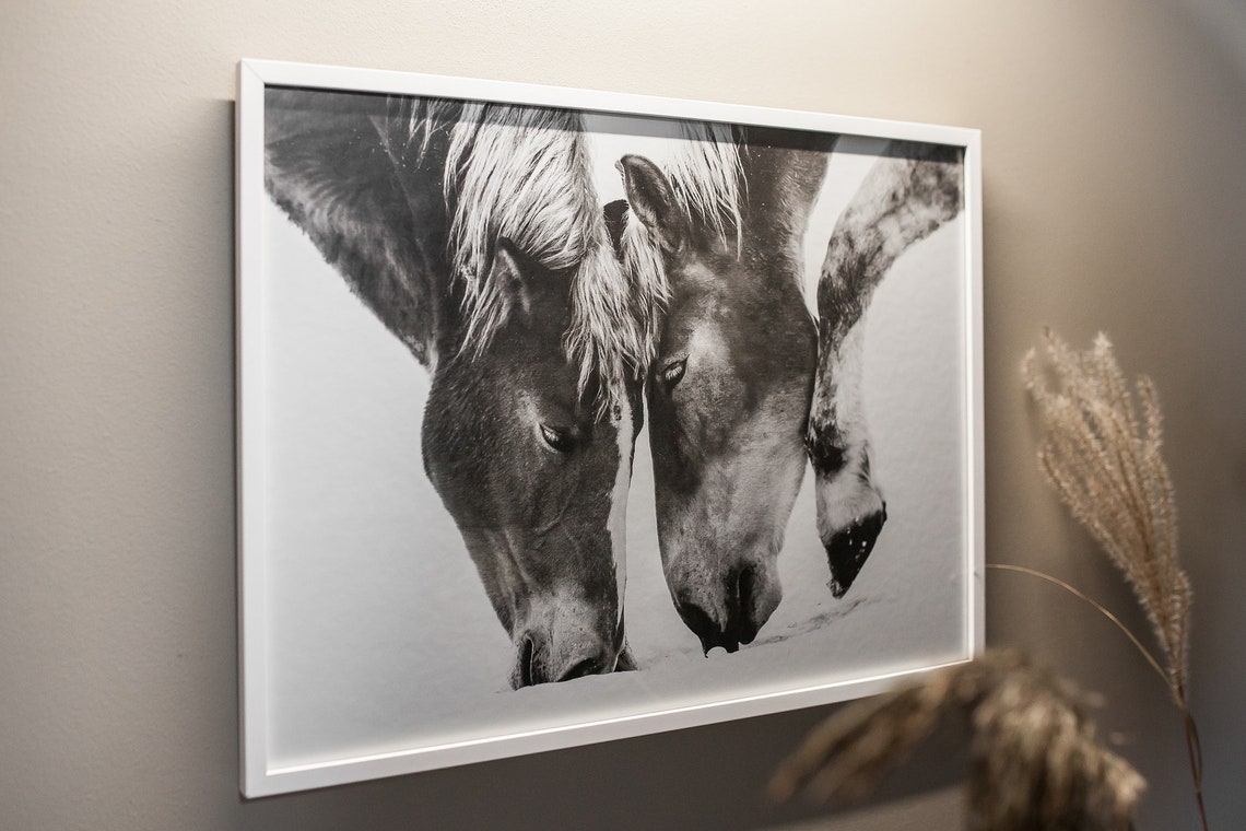 Horses Framed Wall Art Horses Wall Decor Horses Poster Etsy