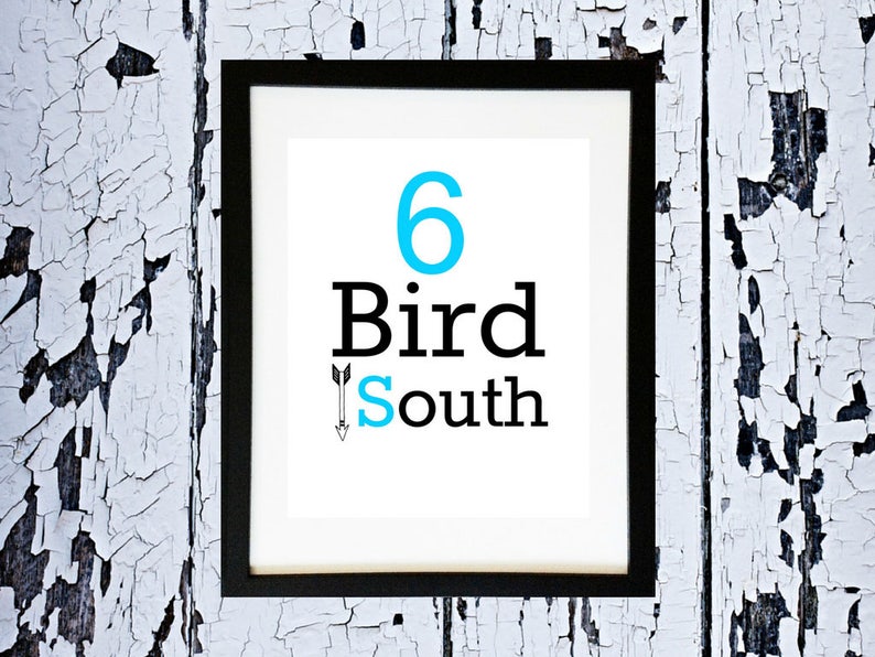 May include: A framed print with the number 6 in blue, the word "Bird" in black, and the word "South" in black with a blue arrow pointing down.